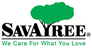 SavATree jobs SavATree jobs